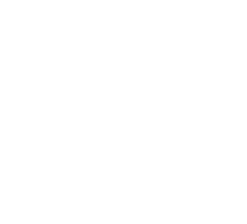 goals-white goals-white