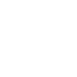focus (1) focus (1)